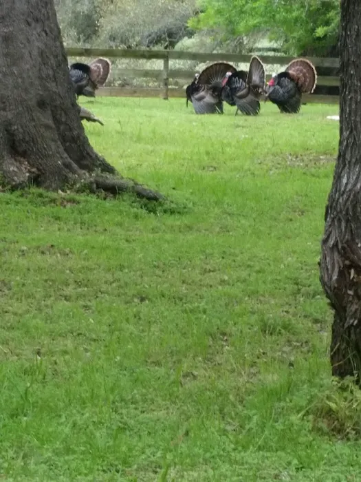 Country View RV Park Picture 2