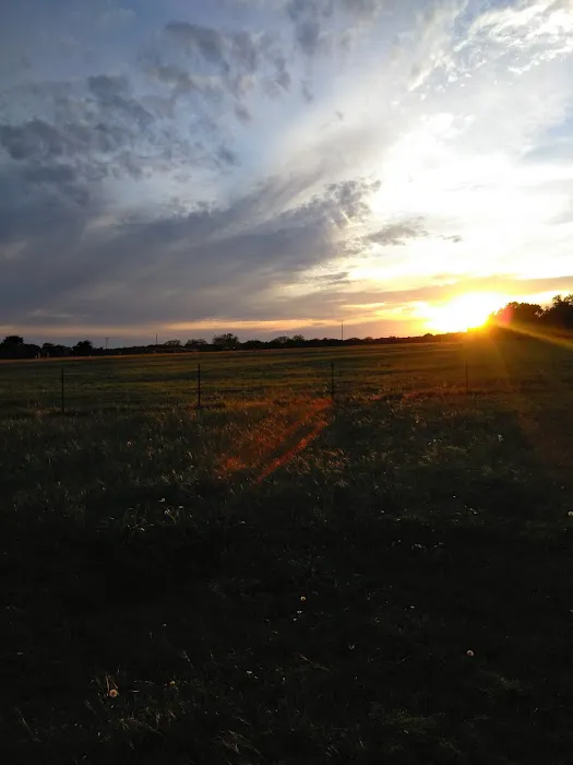 Coyote Bend Mobile Home & RV Prk Picture 9