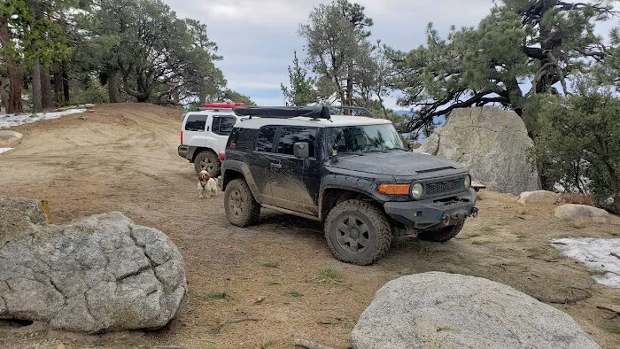 Thomas Mountain Campground Picture 8