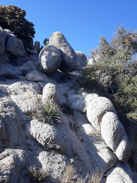 Thomas Mountain Campground Picture 9