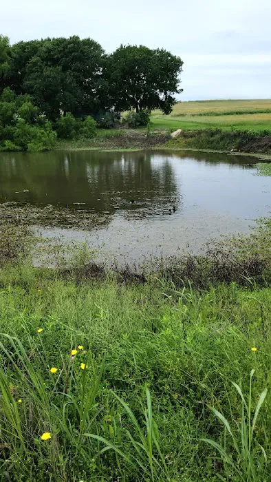 Stone Cross Ranch RV Park Picture 4