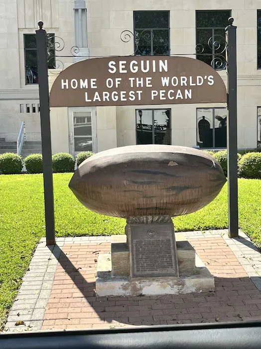 Patriot RV Park - Seguin Picture 9