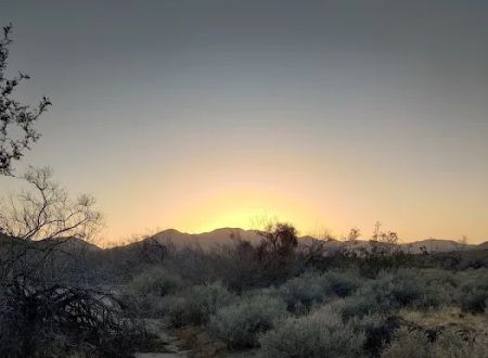 Yaqui Wash Primitive Campground