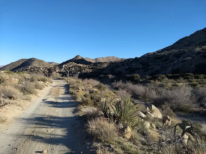 Yaqui Wash Primitive Campground Picture 2