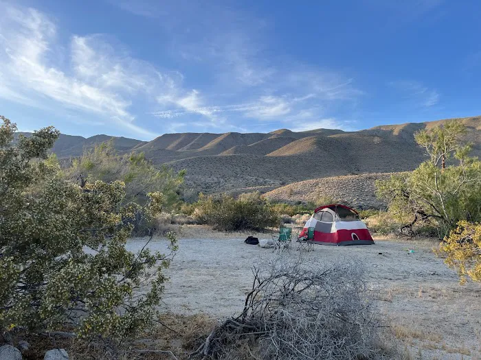 Yaqui Wash Primitive Campground Picture 5