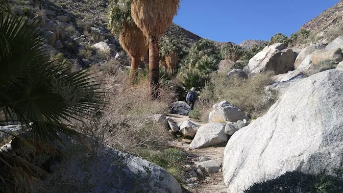 Yaqui Wash Primitive Campground Picture 4