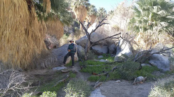 Yaqui Wash Primitive Campground Picture 9