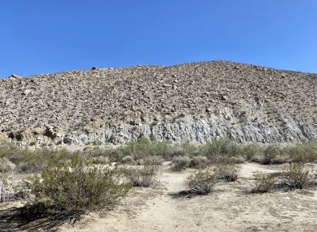 Tamarisk Grove Campground