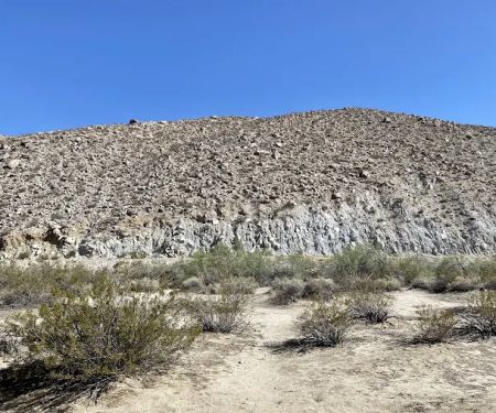 Tamarisk Grove Campground