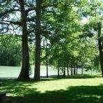 Zipp RV Park