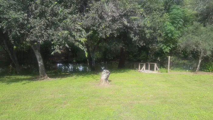 Zipp RV Park Picture 9