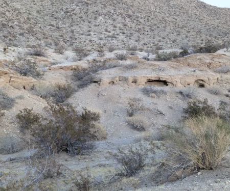 Yaqui Pass Camp