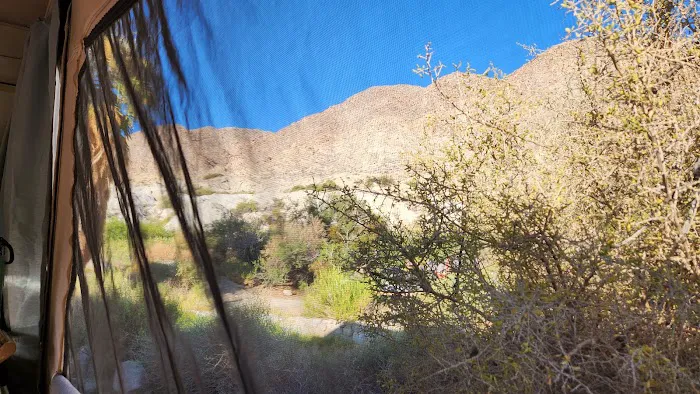 Agua Caliente Campground Picture 8