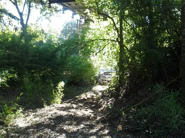 Hot Shot RV Park Picture 2
