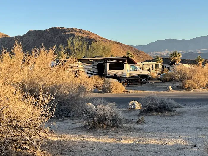 Borrego Palm Canyon Campground Picture 1