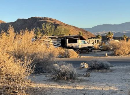 Borrego Palm Canyon Campground