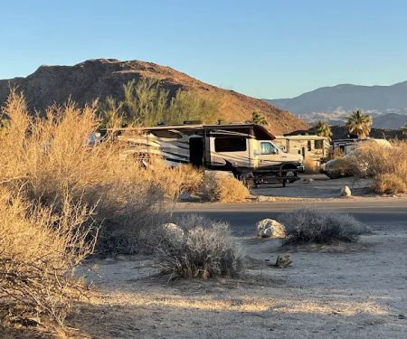 Borrego Palm Canyon Campground