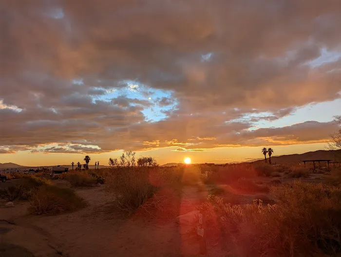 Borrego Palm Canyon Campground Picture 7