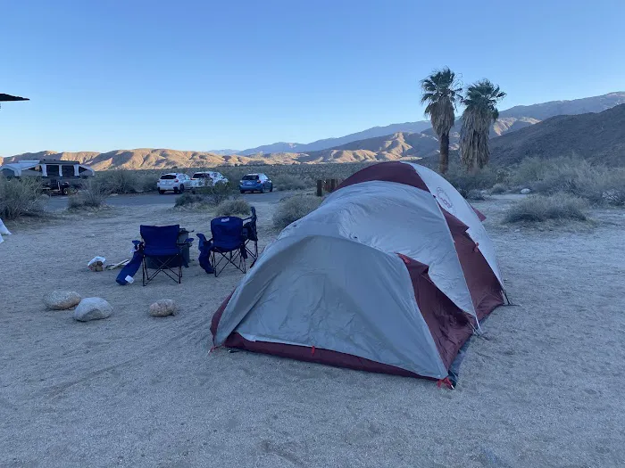 Borrego Palm Canyon Campground Picture 9