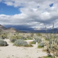 Vern Whitaker Horse Camp ico