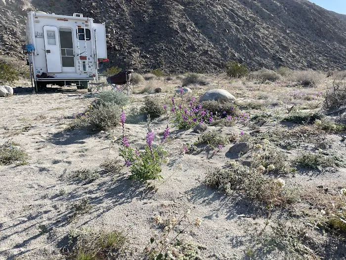 Coyote Canyon campsite Picture 1