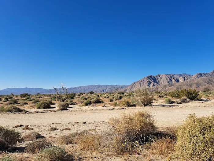 Coyote Canyon campsite Picture 6
