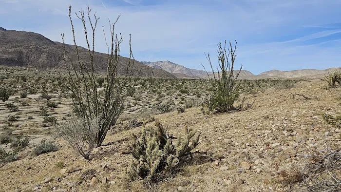 Coyote Canyon campsite Picture 7
