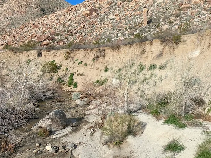 Sheep Canyon Campground Picture 1
