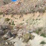 Sheep Canyon Campground