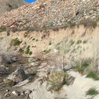 Sheep Canyon Campground ico