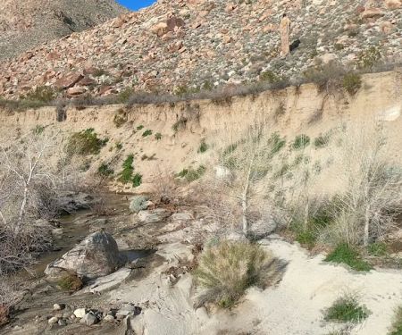 Sheep Canyon Campground