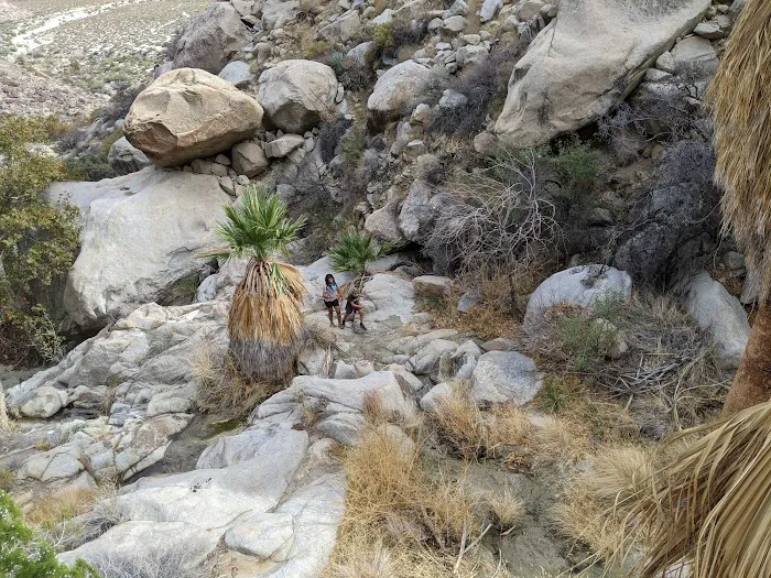Sheep Canyon Campground Picture 5