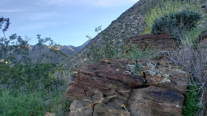 Sheep Canyon Campground Picture 9