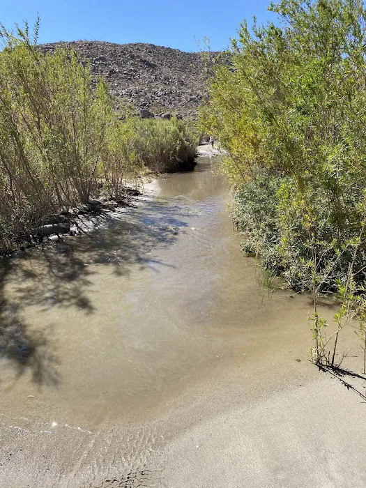 Sheep Canyon Campground Picture 10