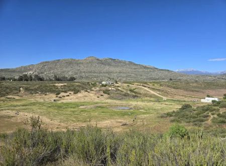 Down-to-Earth EcoShire