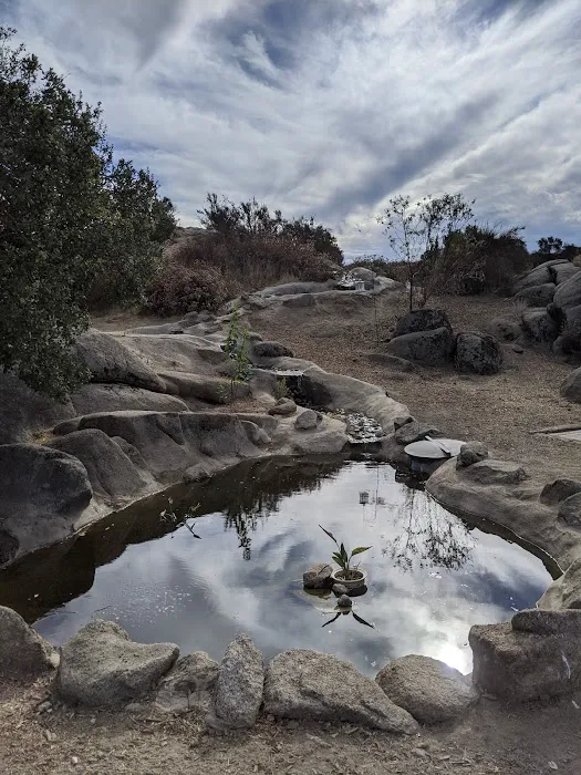 Down-to-Earth EcoShire Picture 4