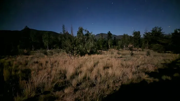 Dispersed Camping Near 11 Mile Res Picture 5
