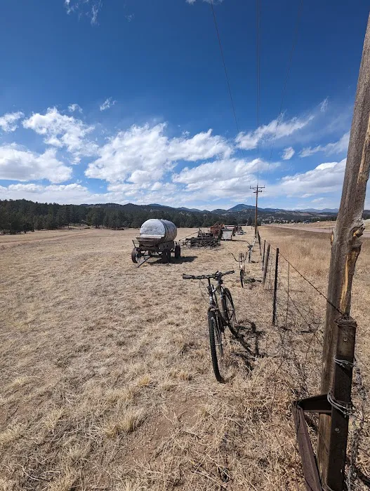 Travel Port Campground Picture 4