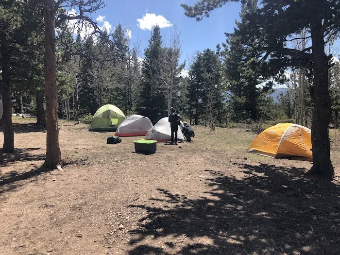 Gordon Gulch Dispersed Camping Area, CO Picture 1