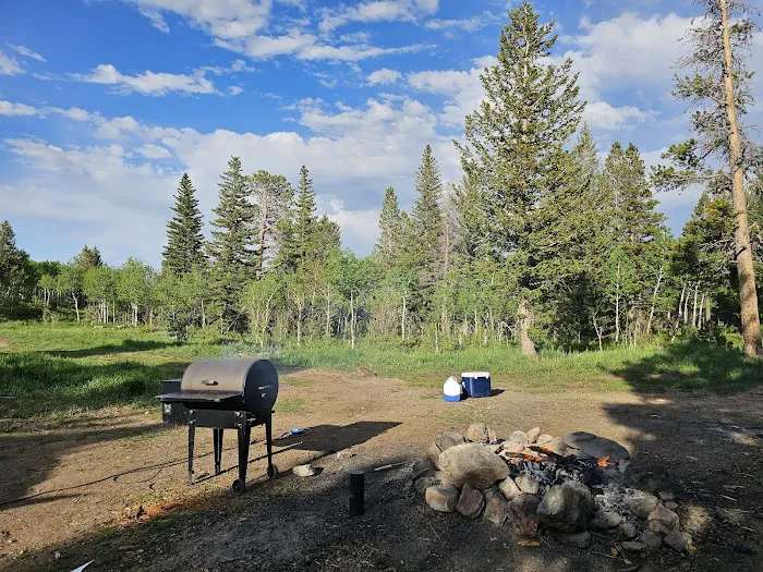 Gordon Gulch Dispersed Camping Area, CO Picture 3