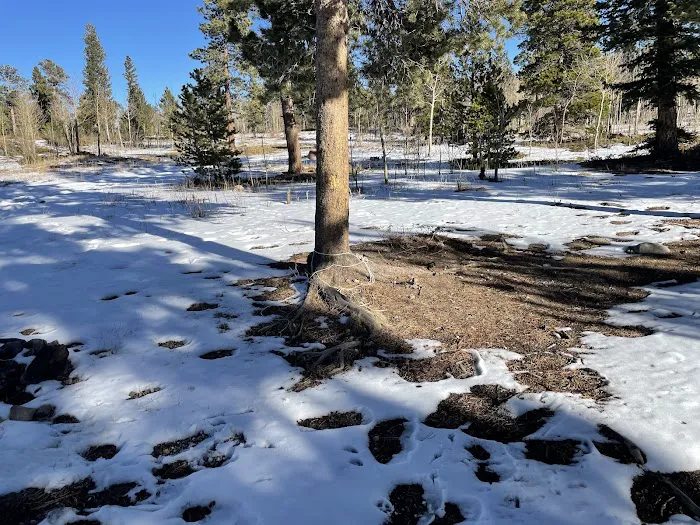 Gordon Gulch Dispersed Camping Area, CO Picture 4
