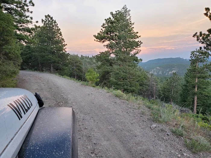 Gordon Gulch Dispersed Camping Area, CO Picture 5