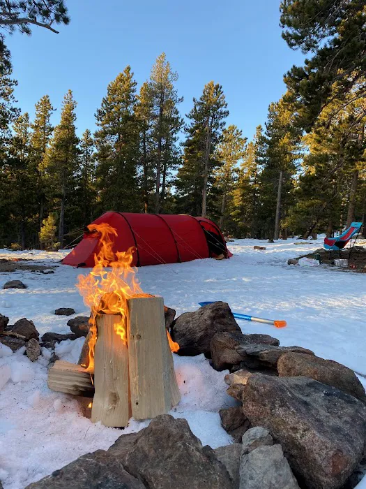 Gordon Gulch Dispersed Camping Area, CO Picture 6