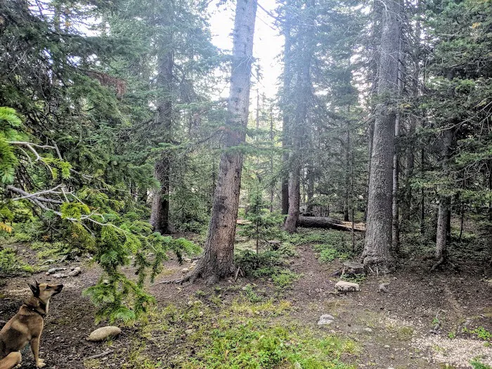 Pawnee Campground Picture 7