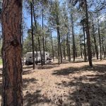 Peregrine Pines Air Force Academy FamCamp