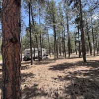 Peregrine Pines Air Force Academy FamCamp ico