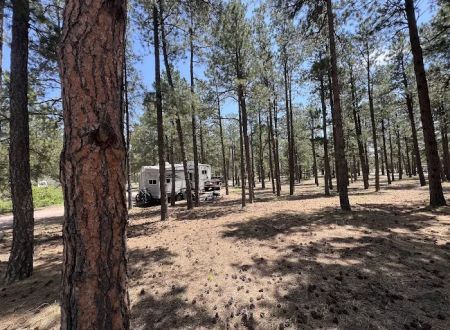 Peregrine Pines Air Force Academy FamCamp