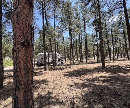 Peregrine Pines Air Force Academy FamCamp