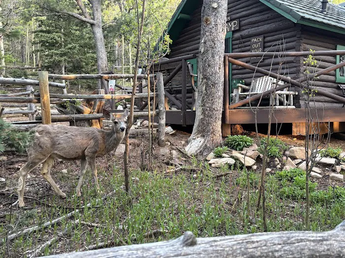 Barr Camp Picture 1