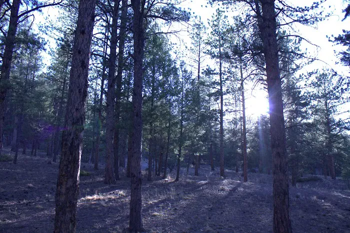 Blue Mountain Campground Picture 10